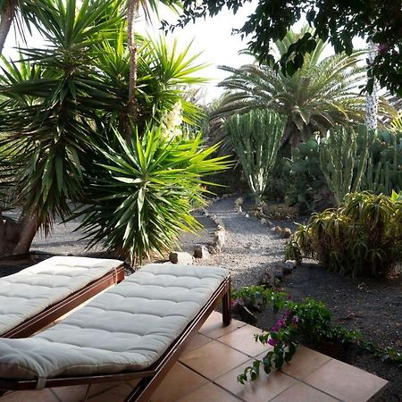 Casa Panama,In Der Finca Mimosa Teguise  Kültér fotó